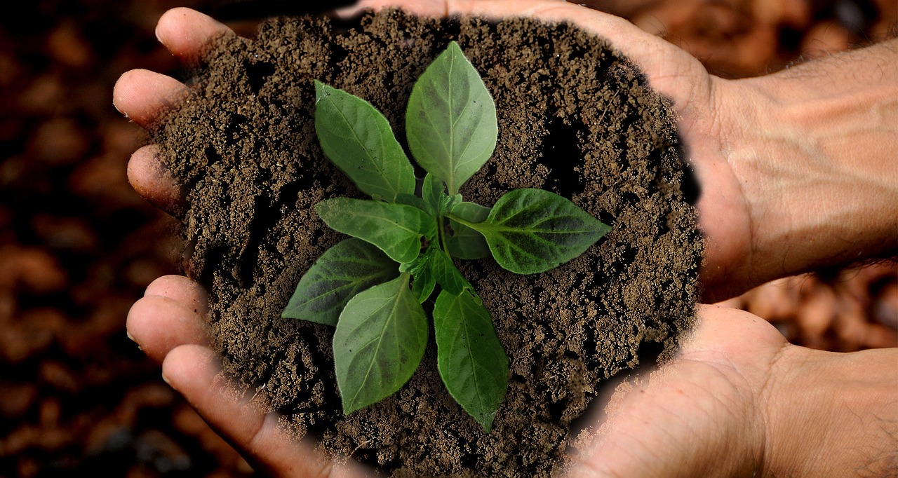 UNWTO Sustainable Tourism Policy Talks