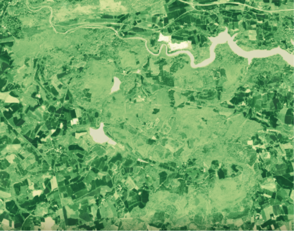 (FAPAR of a forest in Bretagne, France in March 2021, 10mx10m resolution)