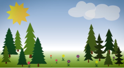 (Healthy forest, What is a Healthy Forest ? , ©Jeffco Open SPace, Youtube)