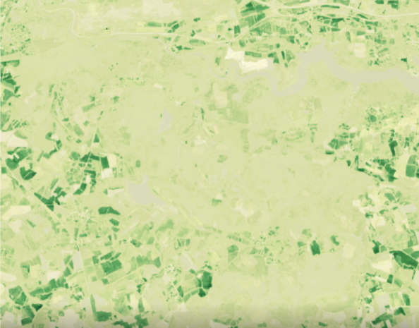 (The LAI of a forest in Brittany in March 2021 at 10mx10m resolution)