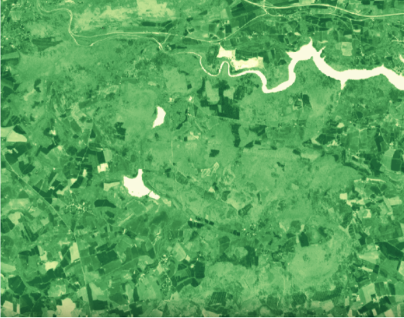 (The NDVI of a forest in Bretagne, France in March 2021, 10mx10m resolution)