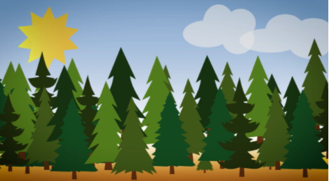 (Unhealthy forest, What is a Healthy Forest ? , ©Jeffco Open SPace, youtube)