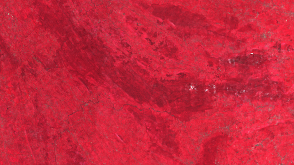 (Vegetal Cover Indicator Map of the Reserve of Sinharaja, Sri Lanka, 2020, ©Murmuration)