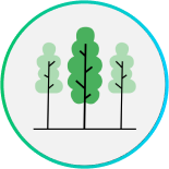 Biodiversity