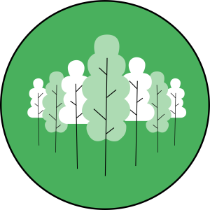 Forest cover