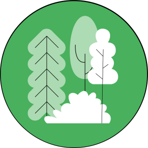 Vegetation classification